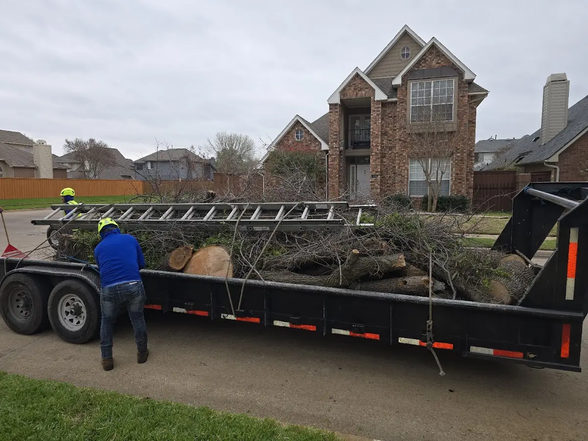 Expert Lot Clearing with proper safety equipment in Wink